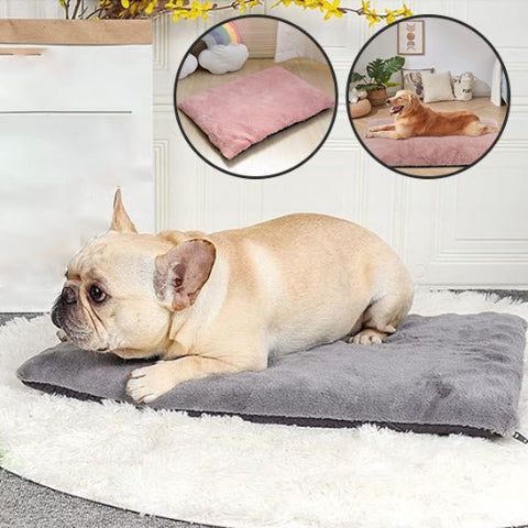 Coussin pour chien bouledogue