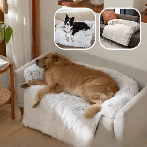 lit pour chien sécurisant