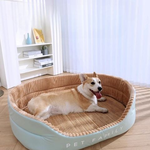 panier pour chien léger