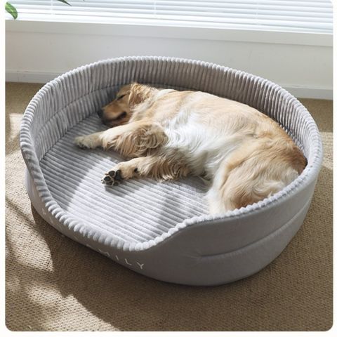 panier pour chien réconfortant