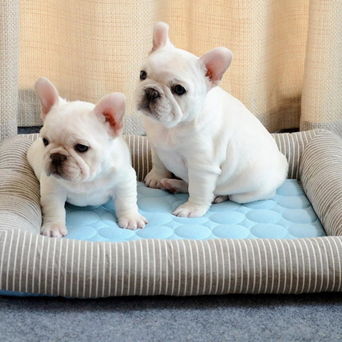 tapis rafraichissant pour chien moelleux