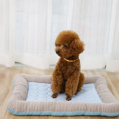tapis rafraichissant pour chien qui régule la température