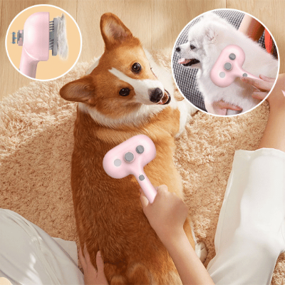 brosse pour chien 3 en 1