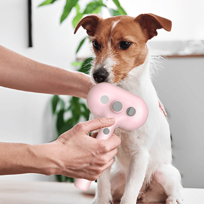 brosse pour chien bien etre
