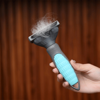 brosse pour chien bleu