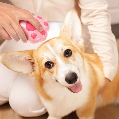 brosse pour chien | PATTOU - Confort du chien