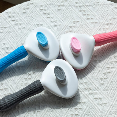 brosse-pour-chien-design