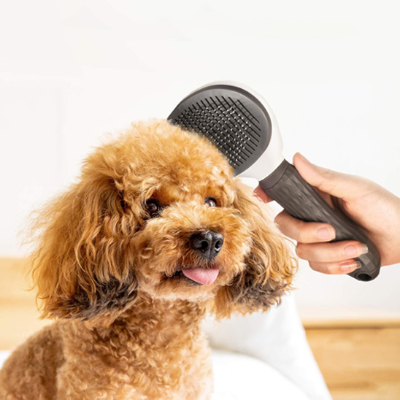 brosse pour chien Ă©limine les nĆuds