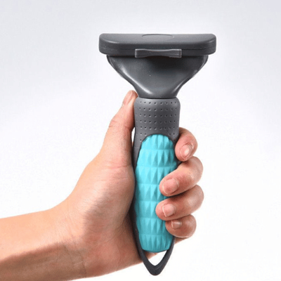 brosse pour chie facile en main