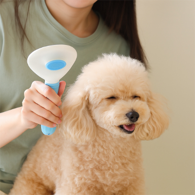 brosse pour chien poil long