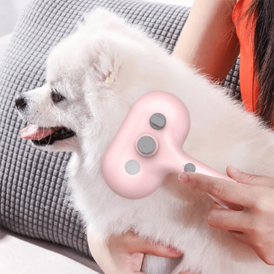 brosse pour chien douce pour la peau