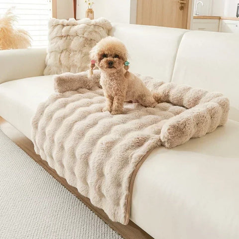 canapé chien beige