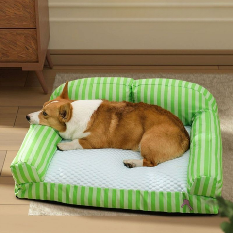 canape chien avec bord surélevé