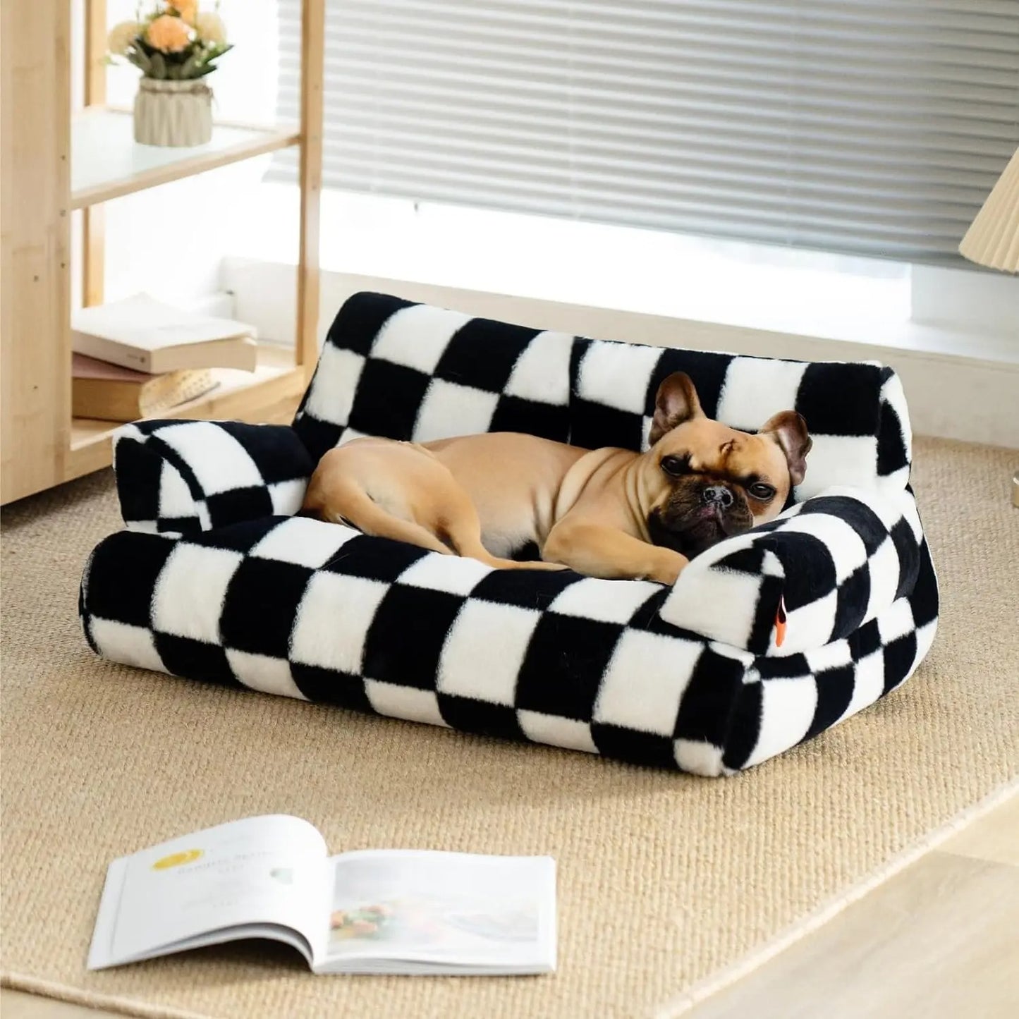 canapé chien boxer qui dort