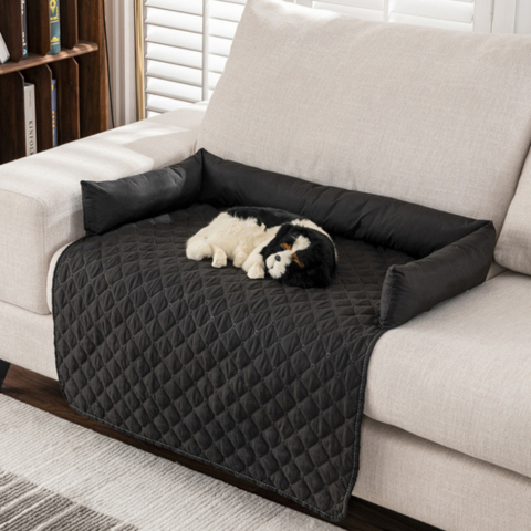 canapé chien chien qui dort