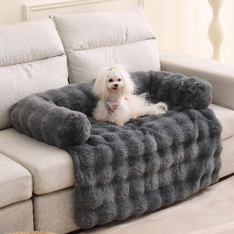 canapé chien cottelé