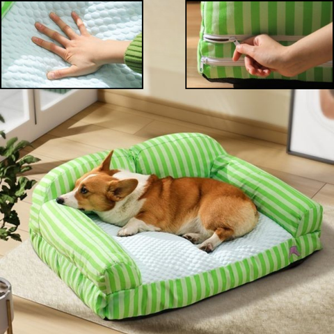 canape chien déhoussable