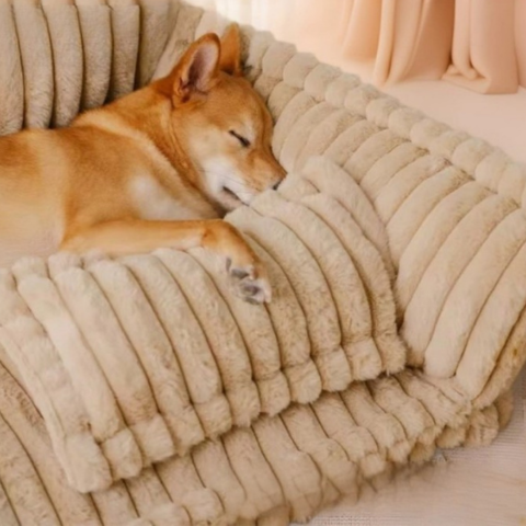 canape chien ergonomique