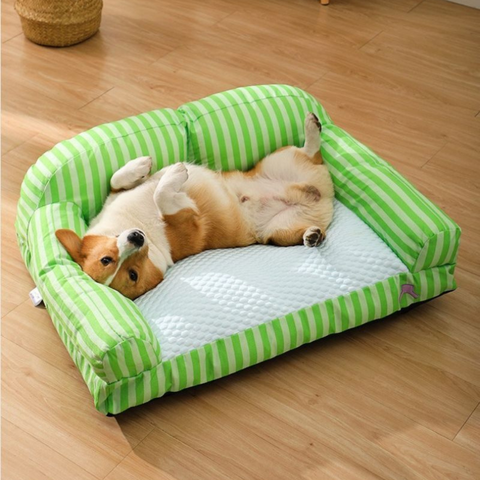 canape chien moelleux