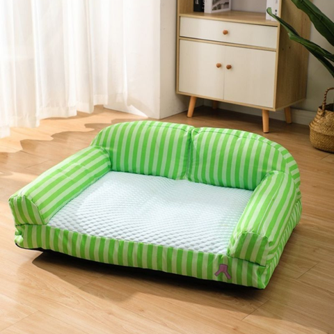 canape chien rayé vert