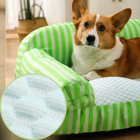 canape chien rembourre