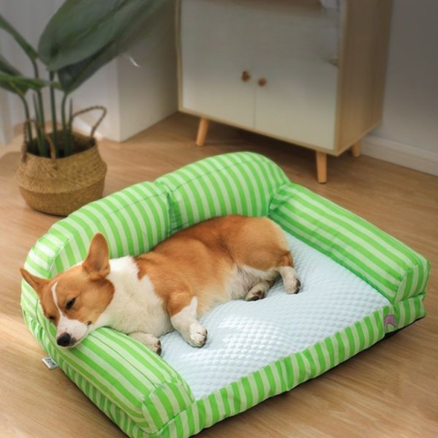 canape chien respirant