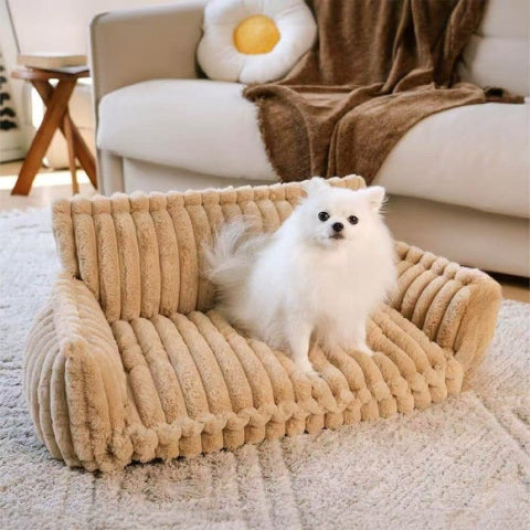 canape chien velours