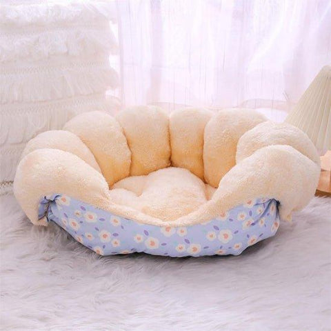 canape pour chien bleu