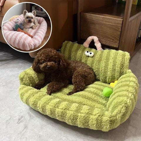 canape pour chien caniche