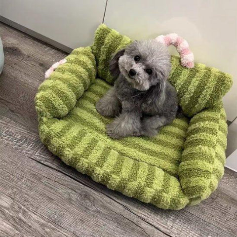 canape pour chien rayé vert