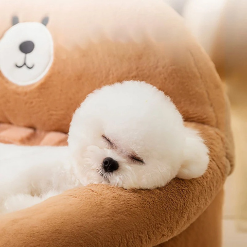canape pour chien repose tete