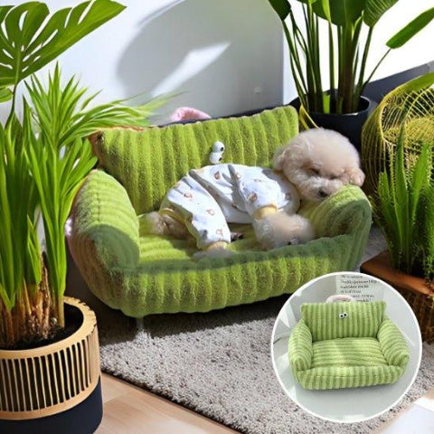 canape pour chien soulage la tête