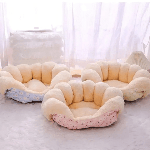 canape pour chine trois couleur