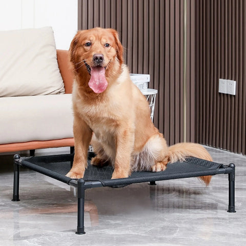 Lit de camp pour chien | Seby - Confort du chien