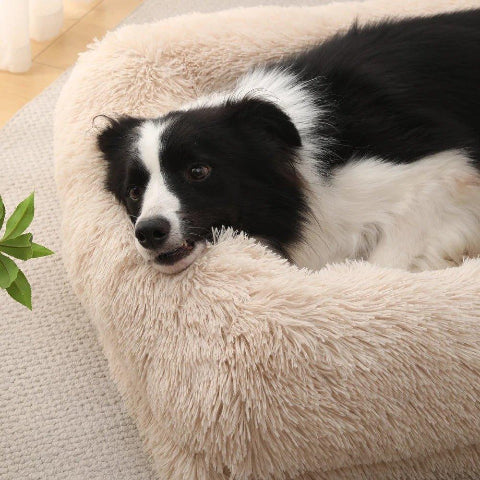 couchage pour chien repose tête