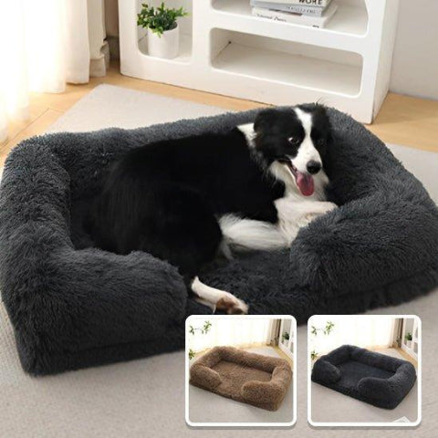 couchage pour chien modele