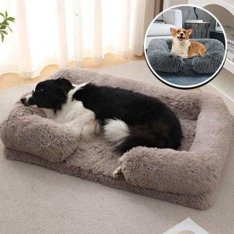 couchage pour chien rebord