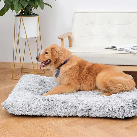 Coussin pour chien anti stress
