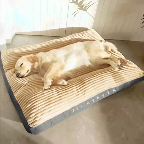 Coussin pour chien beige