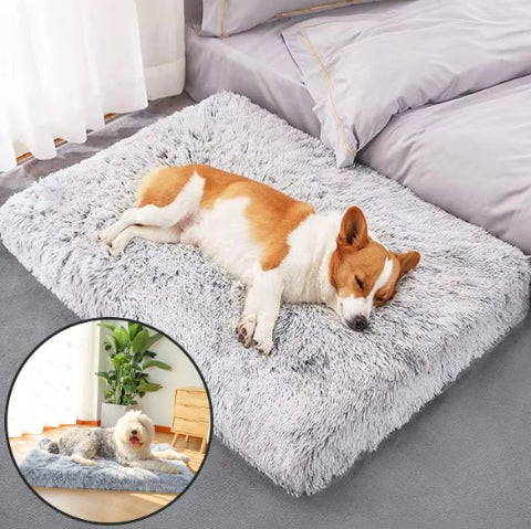 Coussin pour chien chien qui dort