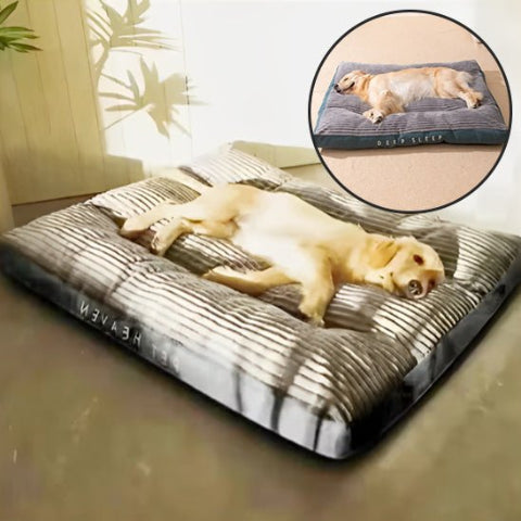Coussin pour chien chien en détente