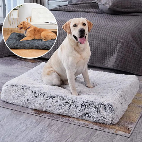 Coussin pour chien confortable