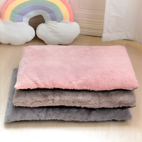 Coussin pour chien |couleur