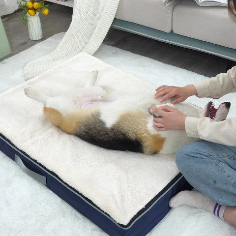 Coussin pour chien déhoussable confortable