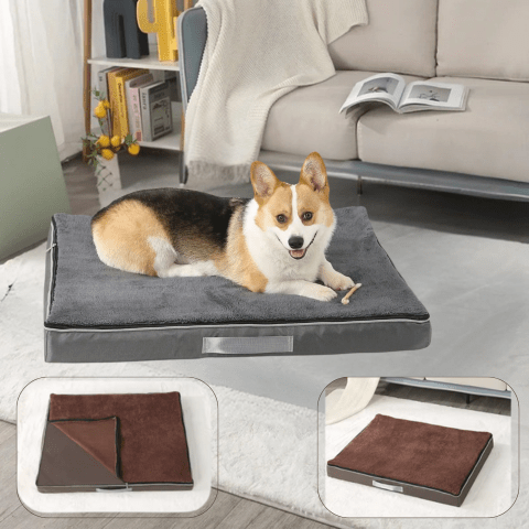 Coussin pour chien déhoussable | ju