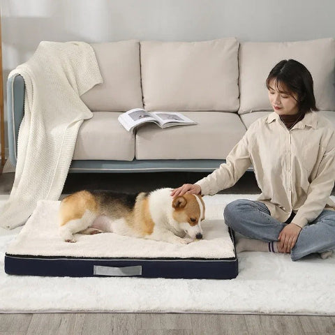 Coussin pour chien déhoussable douceur