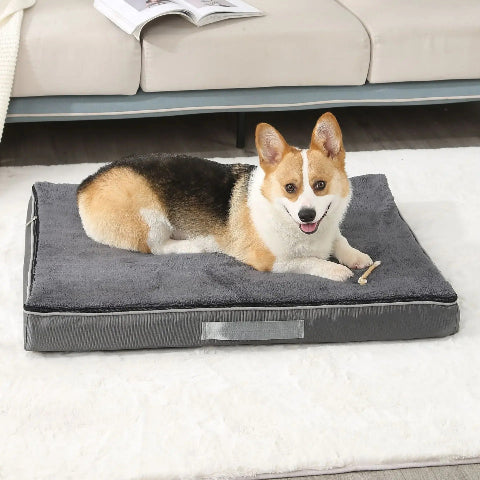 Coussin pour chien déhoussable gris