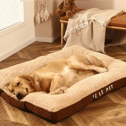 coussin pour chien déhoussable marron