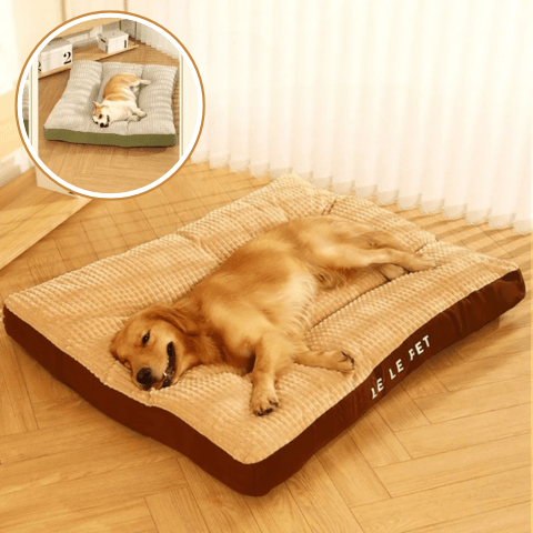 coussin pour chien déhoussable moelleux