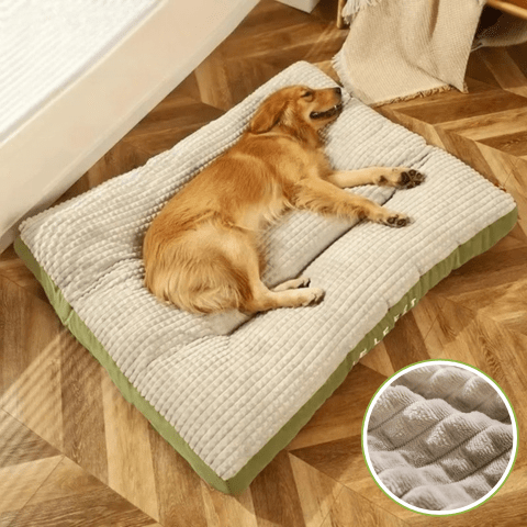 coussin pour chien déhoussable reposant